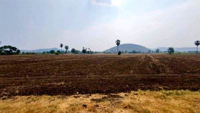 ขายที่ดิน : ขายด่วน ที่ดินสวย 17 ไร่ 173 ตร.ว. ย่านอู่ทอง ติดถนนทางหลวงสุพรรณบุรี 3019 ราคาต่อรองได้