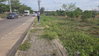 listing thumbnail image 4