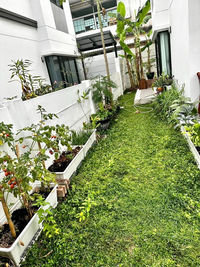 รูป ลุมพินีทาวน์เพลส สุขุมวิท-ศรีนครินทร์ บ้านแฝด Type B สไตล์ Cozy Minimal - รูปที่ 12/18