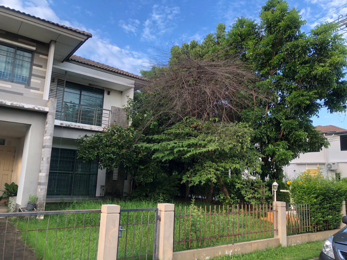 รูป ขาย!!บ้านเดี่ยว2ชั้น หมู่บ้านฮาบิเทีย ปัญญาอินทรา 2 ( Habitia Panyaintra2) คลองสามวาตะวันตก คลองสามวา กรุงเทพ 103.2 ตรว 3นอน3 น้ำ - รูปที่ 6/23