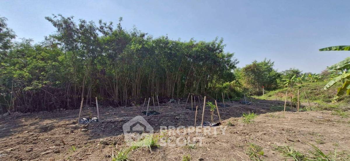 รูป ที่ดินสำหรับขาย ในบ้านแหวน หางดง เชียงใหม่ (ID 3078409) - รูปที่ 5/5