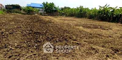 ที่ดิน ม.นอร์ท-เชียงใหม่ : ที่ดินขาย 1,899 ตร.ม. ยูหวา สันป่าตอง เชียงใหม่ (ID 3057935)