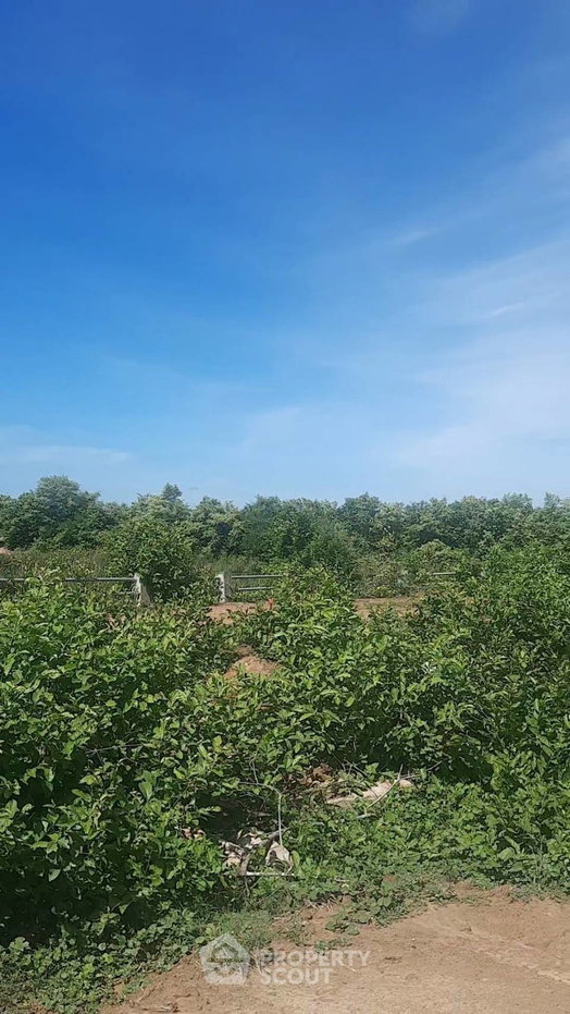 picture For sale Land Plot In Pran Buri, Pran Buri, Prachuap Khiri Khan (ID 3078706) - 6/6