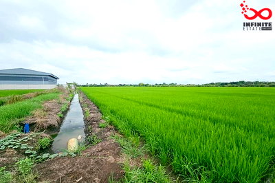 ที่ดิน เมืองฉะเชิงเทรา ฉะเชิงเทรา : ขายที่ดิน 11-1-45 ไร่ ซอยเงินผัน สุวินทวงศ์ ใกล้ตลาดฉิน คลองหลวงแพ่ง ฉะเชิงเทรา