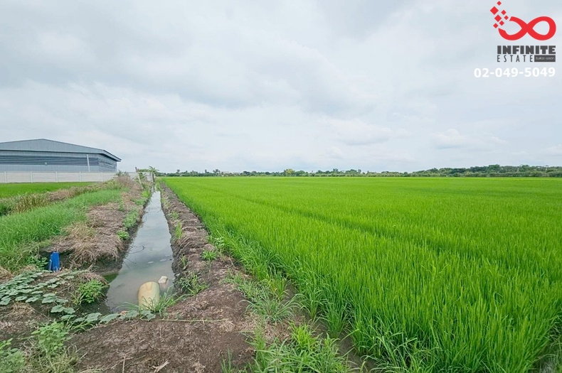 รูป ขายที่ดิน 11-1-45 ไร่ ซอยเงินผัน สุวินทวงศ์ ใกล้ตลาดฉิน คลองหลวงแพ่ง ฉะเชิงเทรา - รูปที่ 1/8