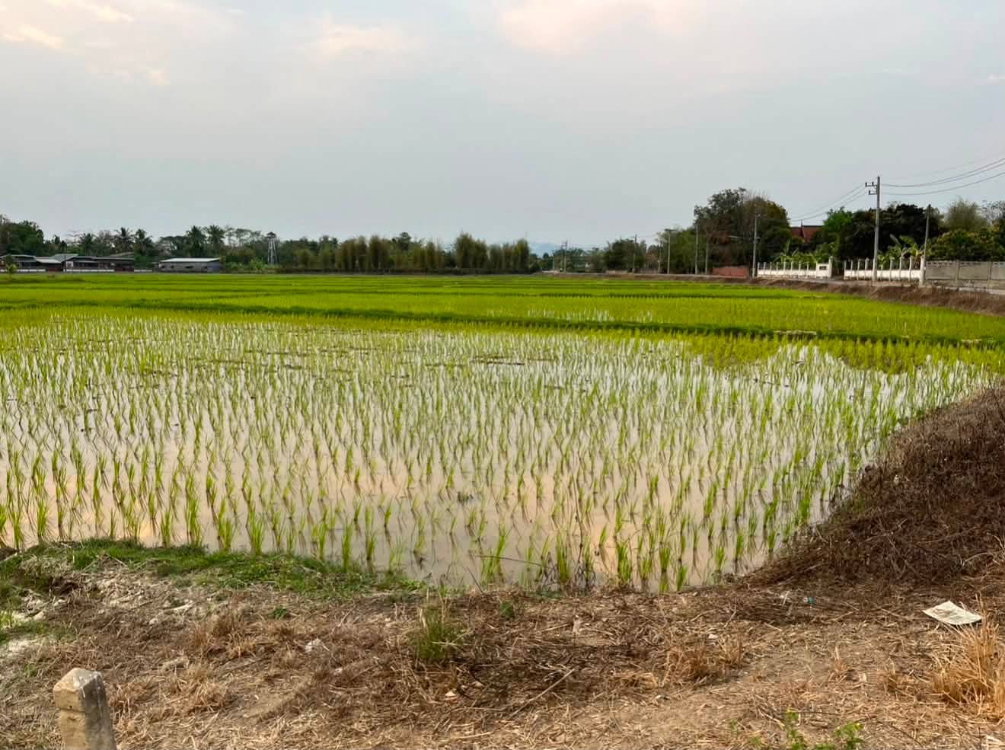 รูป เจ้าของขายเอง: ที่ดินทำเลศักยภาพเชียงใหม่ - ดอยสะเก็ด ใกล้เมือง เดินทางสะดวก มีความกึ่งเมือง กึงวัฒนธรรม - รูปที่ 5/7