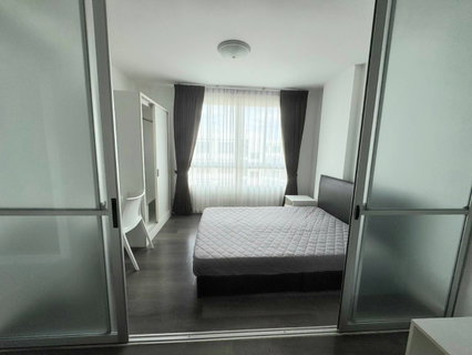 รูปภาพ D condo Campus Resort Rangsit for rent