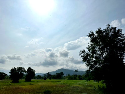 ขายที่ดิน : ขายที่ดินวิวภูเขาสวย บรรยากาศดี บ้านนา นครนายก 2 ไร่ 1 งาน ถมแล้ว พร้อมสร้างบ้าน