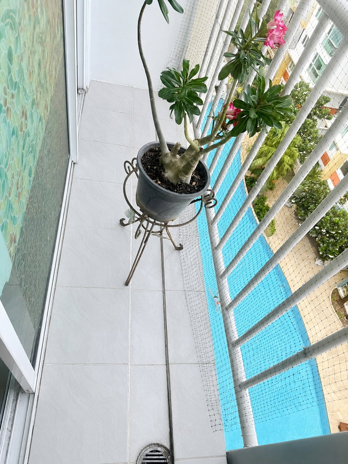 รูป 🏊 ให้เช่า Metro Park Sathorn Phase 2/2 | Studio 31 ตร.ม. ชั้น 8 วิวสระ | 7,000 บาท | พร้อมเข้าอยู่ - รูปที่ 2/6