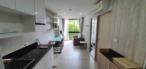 ให้เช่าคอนโด ปาล์มสปริง ตึก Parlor พร้อมเข้าอยู่ 1 ส.ค.2569