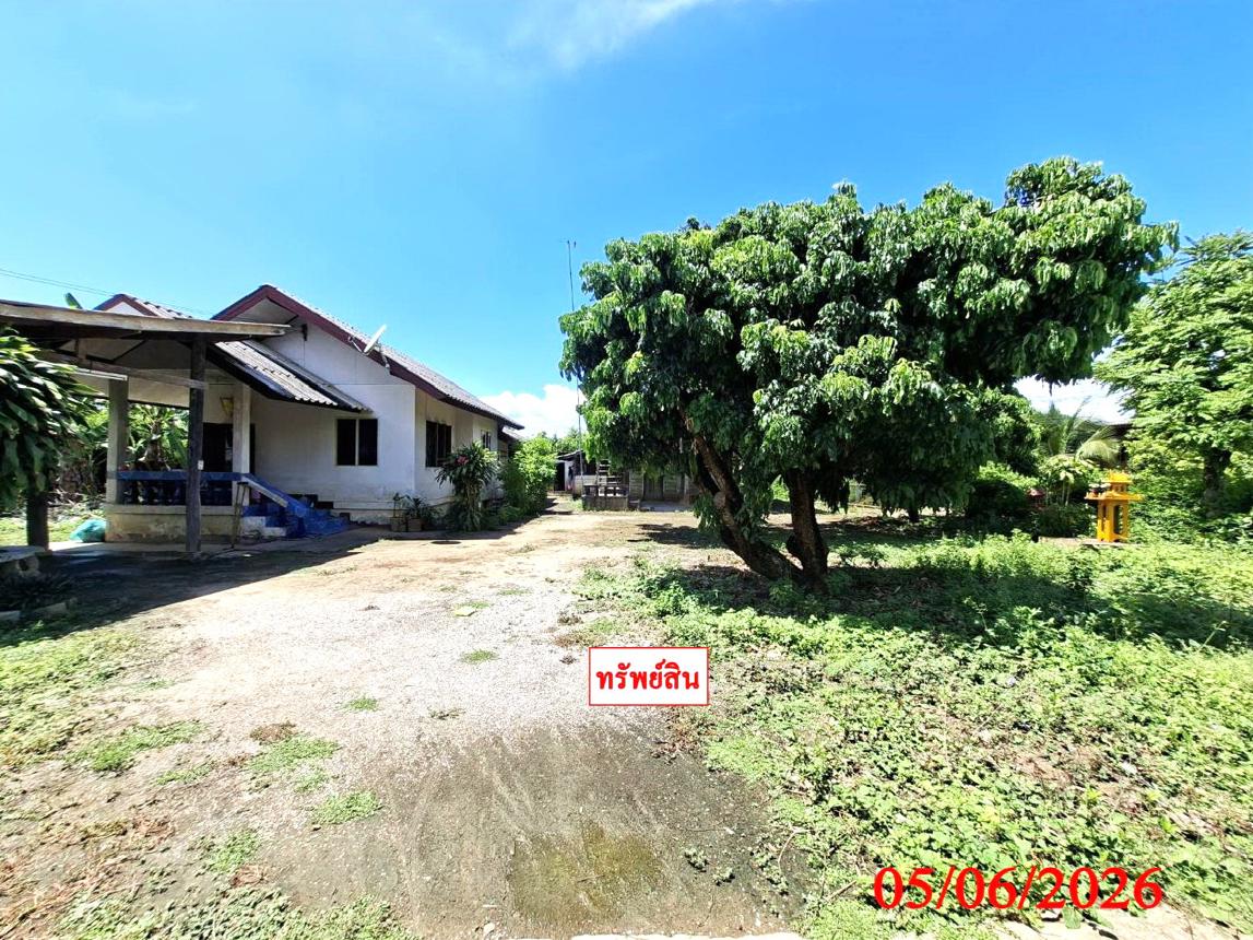 picture HOME 220 Sq.w. San Pa Tong Chiang Mai for 1.7M - 10/14
