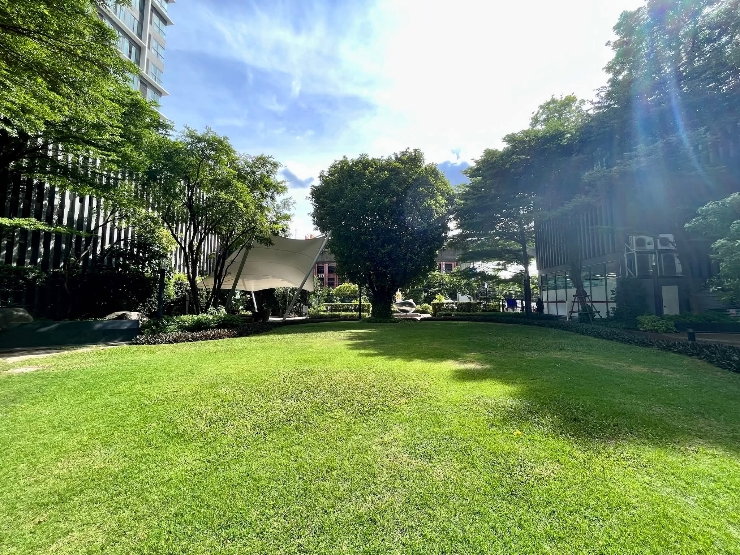 picture IDEO MOBI Sukhumvit 81 one bedroom - 16/20