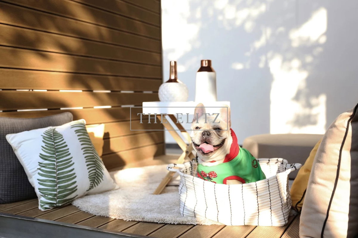 รูป ✨ The Ultimate Urban Paradise for You and Your Pets – Modern Luxury Unit with Sweeping Panoramic Nature Views ✨ - รูปที่ 13/31