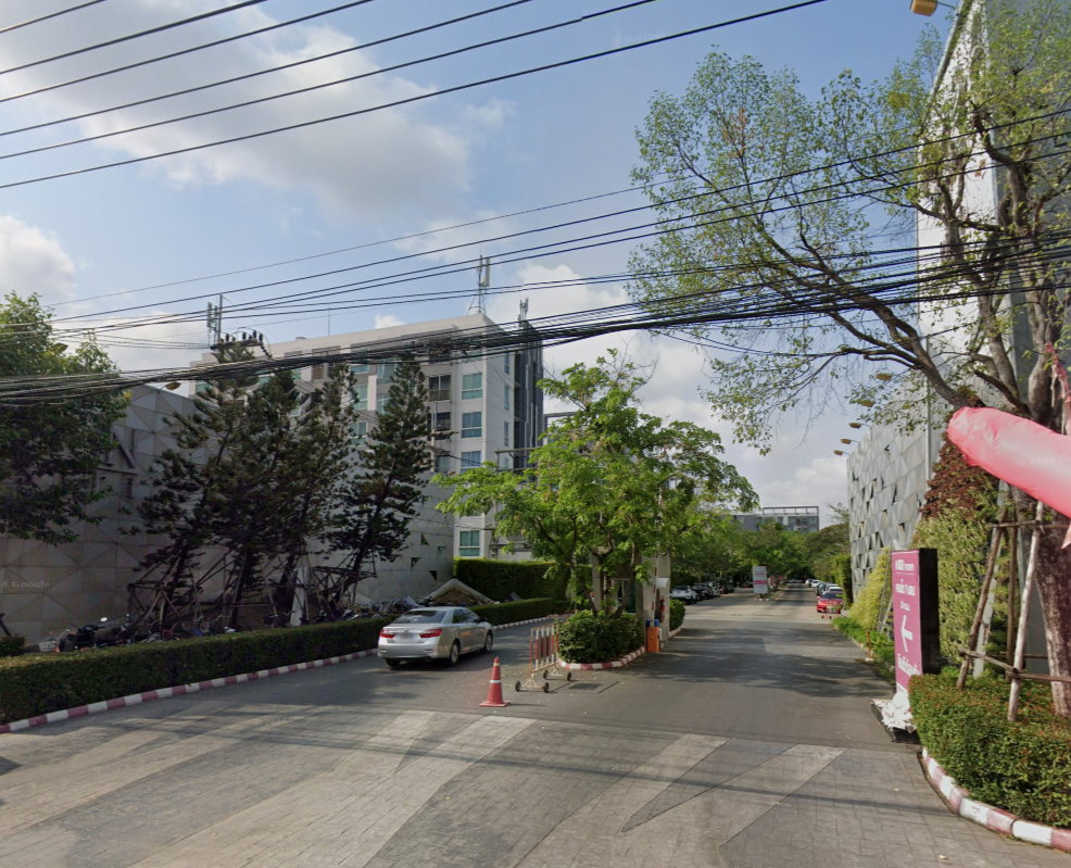 Project Foret SALAYA Picture - 2/2