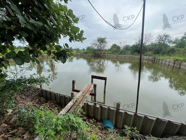 รูป ขาย ที่ดินพร้อมสิ่งปลูกสร้าง อ.เมือง นครปฐม เดินทางสะดวก ทางด่วนM81 เหมาะทำคาเฟ่ บ้านพักตากอากาศ | 93390 - รูปที่ 12/20