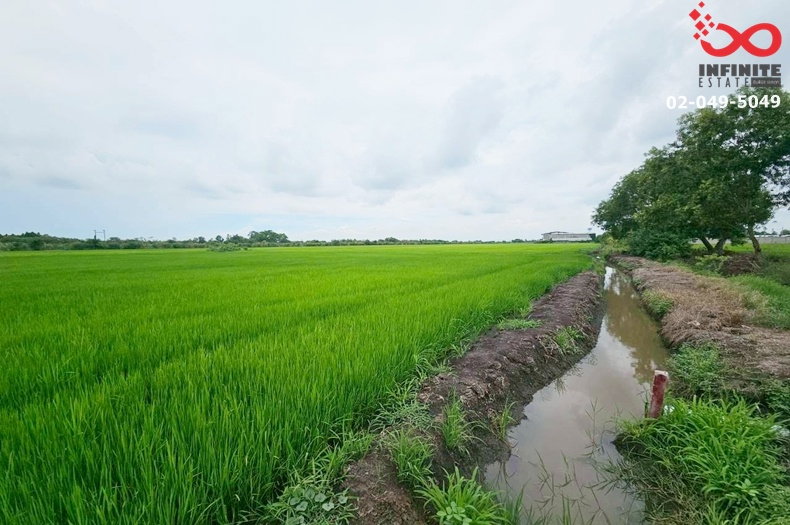 รูป ขายที่ดิน 11-1-45 ไร่ ซอยเงินผัน สุวินทวงศ์ ใกล้ตลาดฉิน คลองหลวงแพ่ง ฉะเชิงเทรา - รูปที่ 2/8