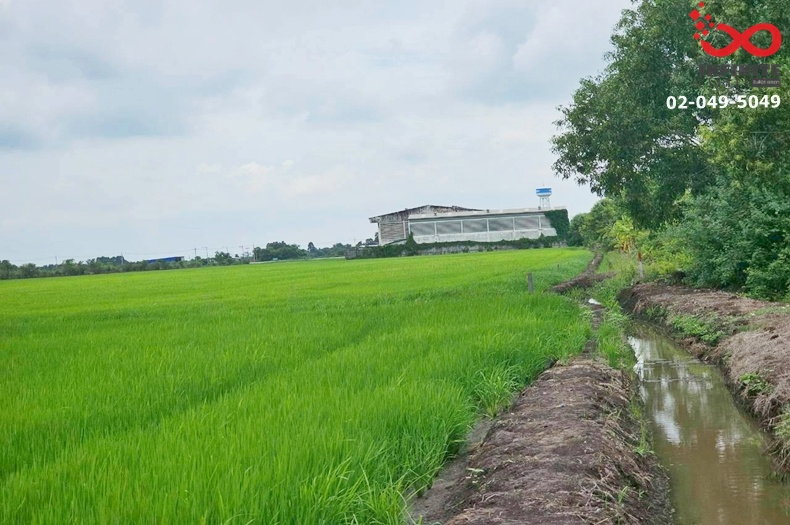 รูป ขายที่ดิน 11-1-45 ไร่ ซอยเงินผัน สุวินทวงศ์ ใกล้ตลาดฉิน คลองหลวงแพ่ง ฉะเชิงเทรา - รูปที่ 3/8