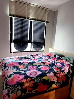 Condos for rent : For Rent Condo , Nue Noble Srinakarin-Lasalle , nice view , MRT-Siri Sri-Lasalle , Samrong Nuea , Mueang Samut Prakan , Samut Prakarn , CX-163902 ✅ Live chat with us ADD LINE @connexproperty ✅
