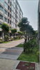 listing thumbnail image 6