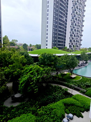 Condos for rent Central Festival East Ville : 🏡 For rent Noble Create Pradit Manutham 2 bedrooms | 1 bathroom | 40 sq m | Garden and swimming pool view Ready to move in
