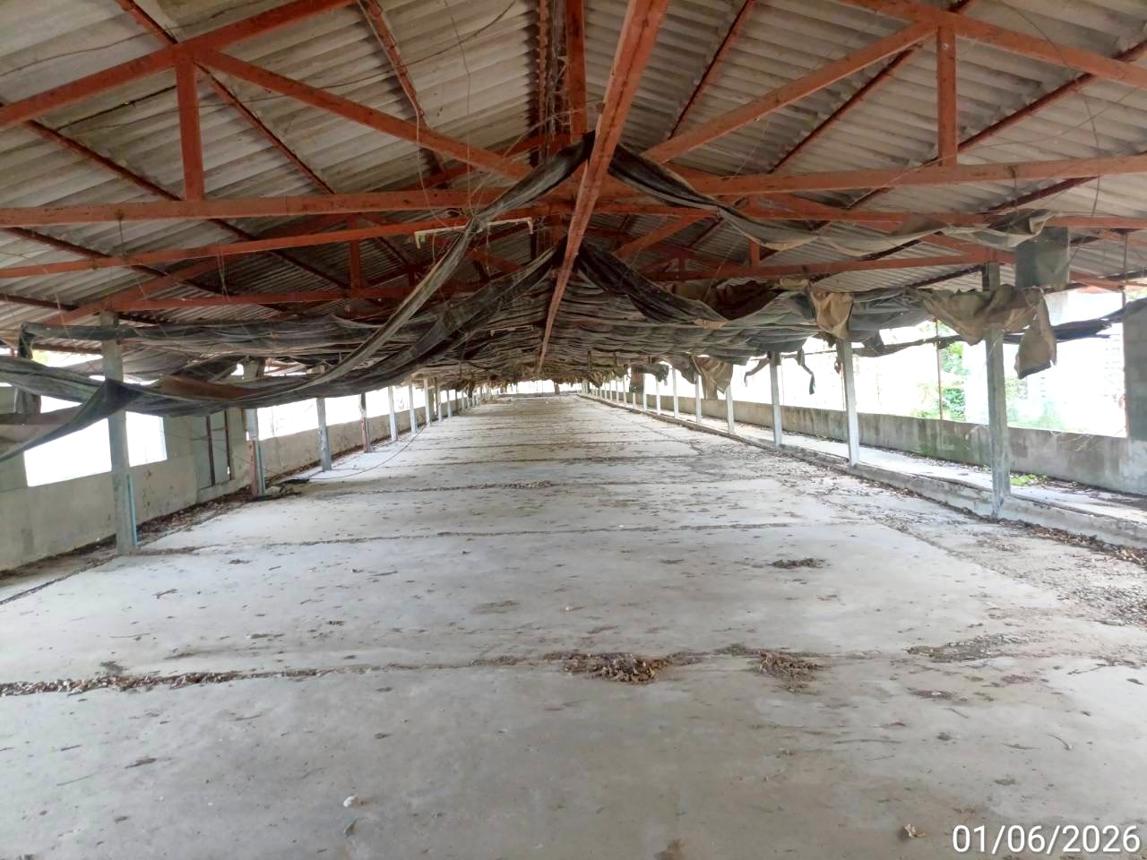 picture LAND 5084 Sq.w. At Samat Roi Et for 5.5M - 16/30
