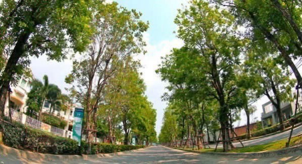 รูป 🏡✨ ให้เช่าบ้านเดี่ยวหลังมุม หมู่บ้านสีวลี สุวรรณภูมิ (Land & Houses) 3 ห้องนอน 3 ห้องน้ำ หลังมุม พื้นที่กว้าง บรรยากาศร่มรื่น เป็นส่วนตัว - รูปที่ 3/12