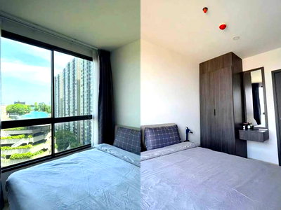 Condos for rent : for rent elio del nest 14000bath 12 floor 34sqm by pool view 