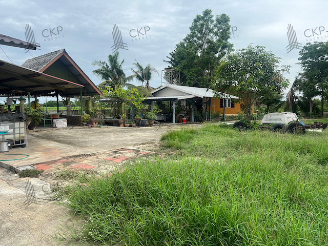 รูป ขาย ที่ดินพร้อมสิ่งปลูกสร้าง อ.เมือง นครปฐม เดินทางสะดวก ทางด่วนM81 เหมาะทำคาเฟ่ บ้านพักตากอากาศ | 93390 - รูปที่ 2/20