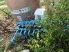 listing thumbnail image 7