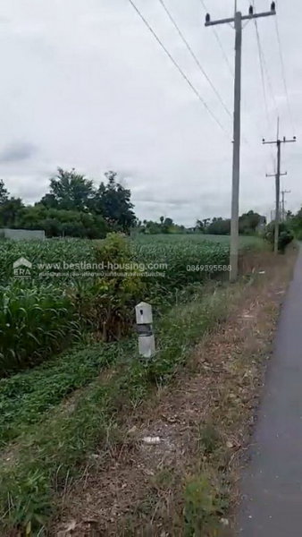 รูป ขาย ที่ดินแปลงใหญ่ 21-3-84.9 ไร่ ต.นายาว อ.พระพุทธบาท จ.สระบุรี - รูปที่ 8/22