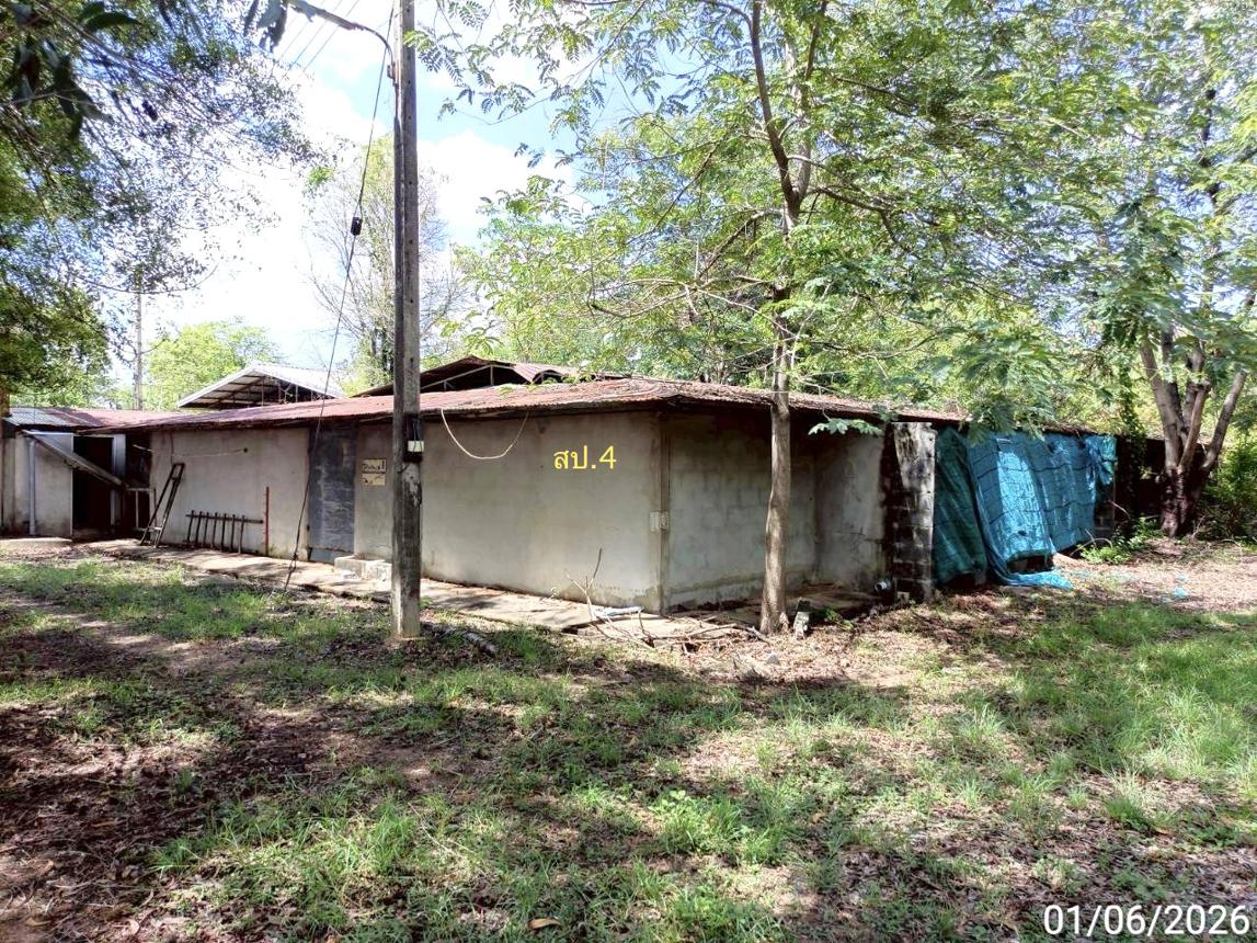 picture LAND 5084 Sq.w. At Samat Roi Et for 5.5M - 19/30