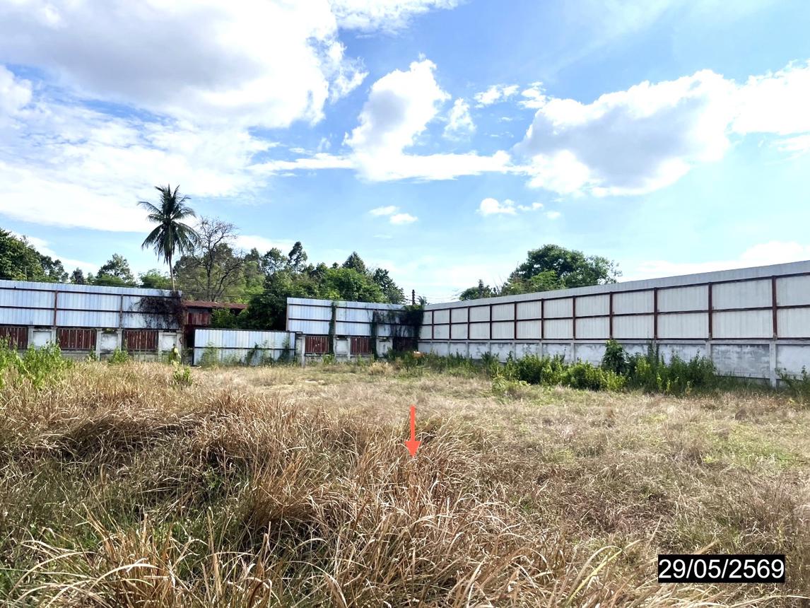 รูป โกดัง 606 ตร.วา ฆ้องชัย กาฬสินธุ์ 5.3M - รูปที่ 30/34