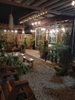 listing thumbnail image 32