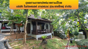 รูป โรงแรม 8959.9 ตร.วา เกาะสมุย สุราษฎร์ธานี เกาะสมุย สุราษฎร์ธานี 854M - รูปที่ 21/34