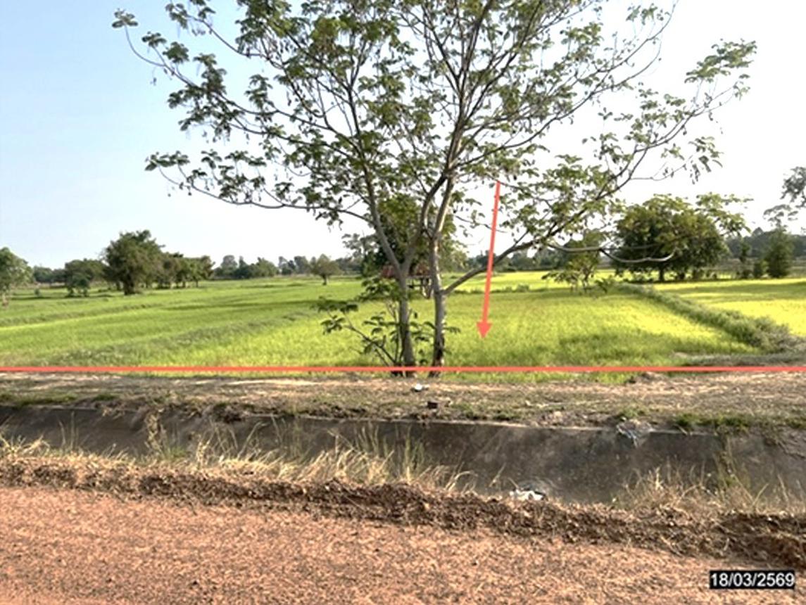 picture LAND 1017 Sq.w. Rong Kham Kalasin for 458,000 - 8/18