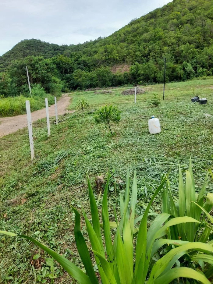 picture ðĒ Land for Sale â Khao Mon, Sattahip - 1/6