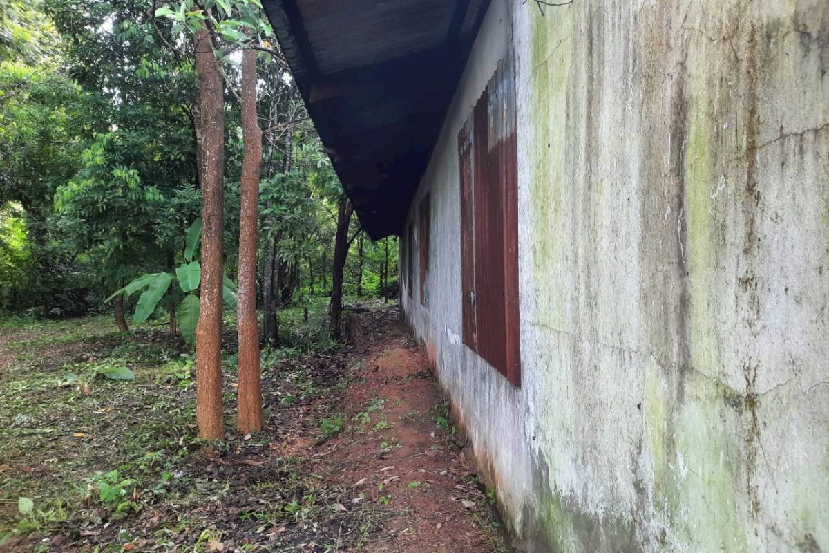 รูป AL-2-0054|บ้านพักอาศัยชั้นเดียว นครพนม-บึงกาฬ (212) ต. บ้านแพง อ.บ้านแพง จ.นครพนม(ราคา 490,000 บาท ) - รูปที่ 3/12