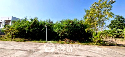 ที่ดิน พรีเมี่ยม เอาท์เล็ท เชียงใหม่ : ที่ดินสำหรับขาย ในบ้านแหวน หางดง เชียงใหม่ (ID 3078409)