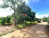 listing thumbnail image 19