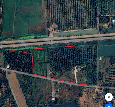 Land for sale Muang Nakhon Pathom Nakhon Pathom : Large coconut orchard plot for sale in a high-potential location, Nakhon Pathom (Direct sale by owner)