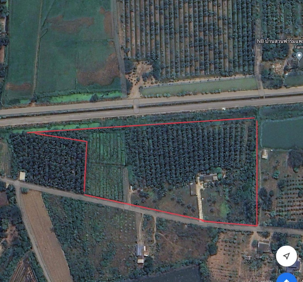 picture Large coconut orchard plot for sale in a high-potential location, Nakhon Pathom (Direct sale by owner) - 1/1