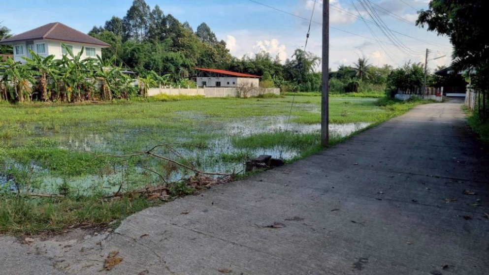 รูป ขายที่ดิน 2 ไร่เศษ ราคา 4 ล้าน ใกล้มหาวิทยาลัยแม่โจ้ เชียงใหม่ - รูปที่ 4/4
