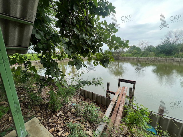 รูป ขาย ที่ดินพร้อมสิ่งปลูกสร้าง อ.เมือง นครปฐม เดินทางสะดวก ทางด่วนM81 เหมาะทำคาเฟ่ บ้านพักตากอากาศ | 93390 - รูปที่ 11/20