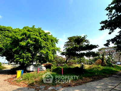ขายที่ดิน : ที่ดินสำหรับขาย ใน เขตประเวศ กรุงเทพมหานคร (ID 3079453)
