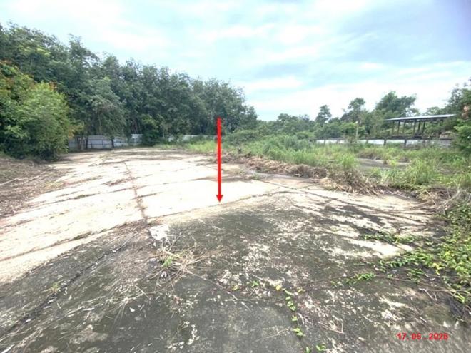 picture HOME 9771.8 Sq.w. Rattana Wapi Nongkai for 18.7M - 25/60