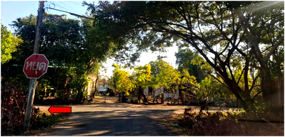 LAND 151 Sq.w. Sawang Weerawong Ubon Ratchathani for 1.2M