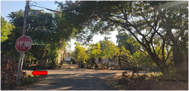 picture LAND 151 Sq.w. Sawang Weerawong Ubon Ratchathani for 1.2M - 1/7