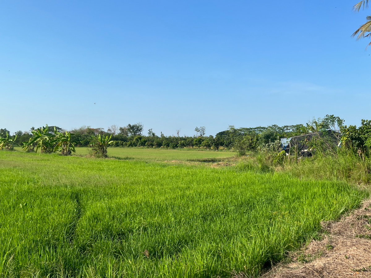 picture Vacant land for sale—excellent plot, suitable for a warehouse, café, or private residence. - 8/8