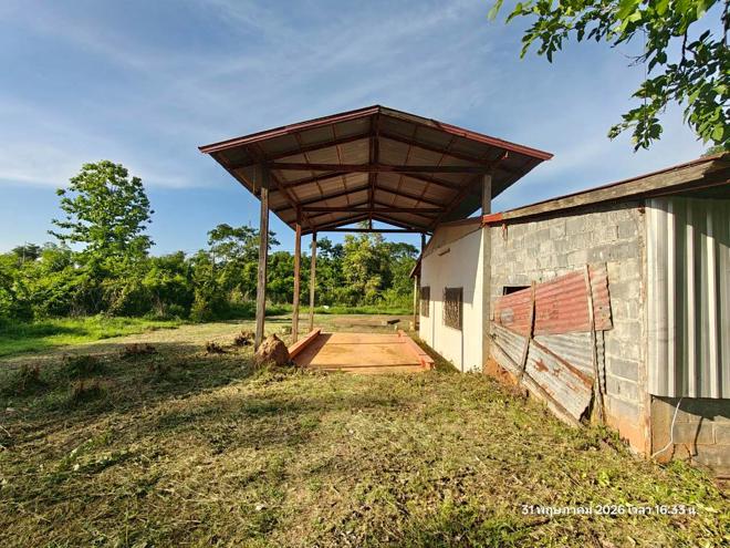 รูป บ้านเดี่ยว 5520 ตร.วา ชานุมาน อำนาจเจริญ 13.6M - รูปที่ 17/54
