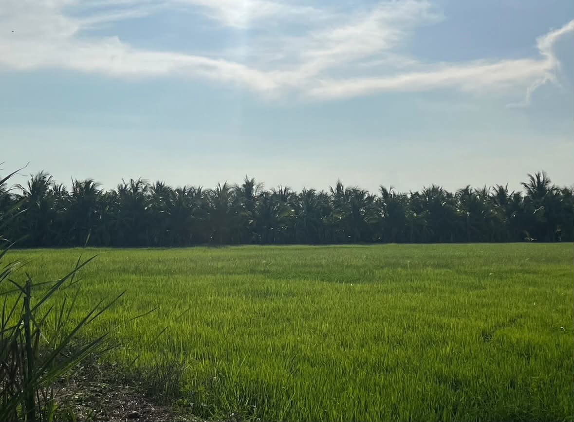 picture Vacant land for sale—excellent plot, suitable for a warehouse, café, or private residence. - 6/8